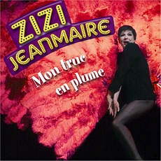 Buy Mon truc en plumes